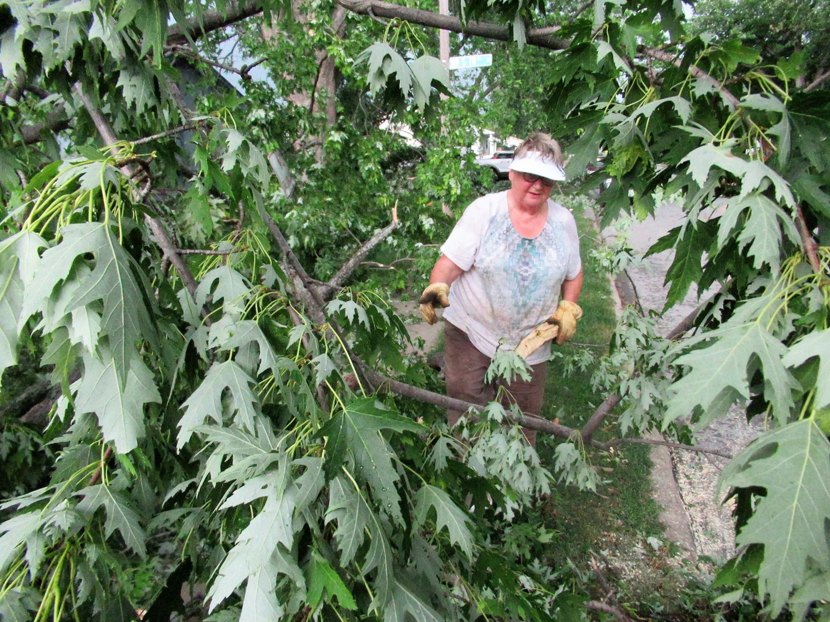 Clean Up in La Vista